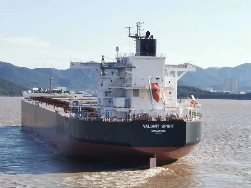 企业风采 | 常石集团远洋集装箱船顺利交付