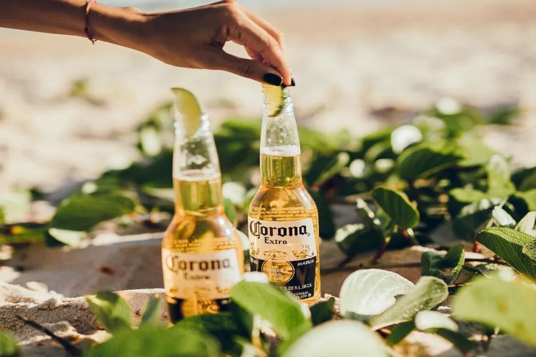 企业风采 | 百威中国青柠扶贫项目——打造产业扶贫与公司业务链接的可持续发展